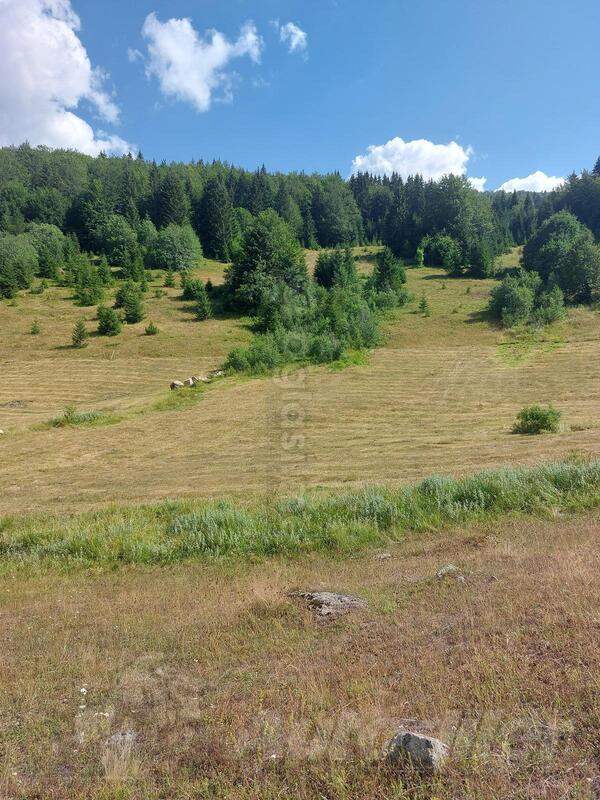 Građevinsko zemljište 9000m2 - Berane - > Okolina grada