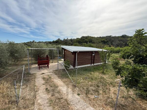 Brvnara - drvena kuća 27m2 - Ulcinj - > Okolina grada