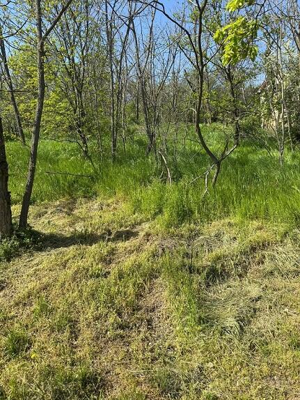 Građevinsko zemljište 300m2 - Vršac - Vršački Ritovi
