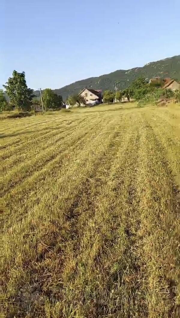 Poljoprivredno zemljište 10000m2 - Nikšić - Kličevo