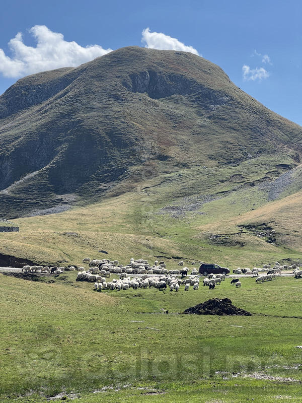 Građevinsko zemljište 2700m2 - Kolašin - Kolašin (uži dio)