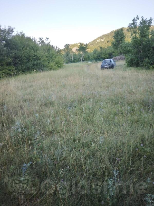 Poljoprivredno zemljište 6000m2 - Nikšić - Grahovo