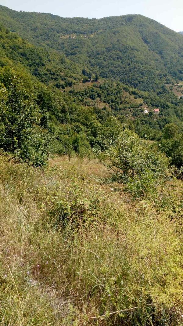 Poljoprivredno zemljište 70000m2 - Kolašin - Manastir Morača