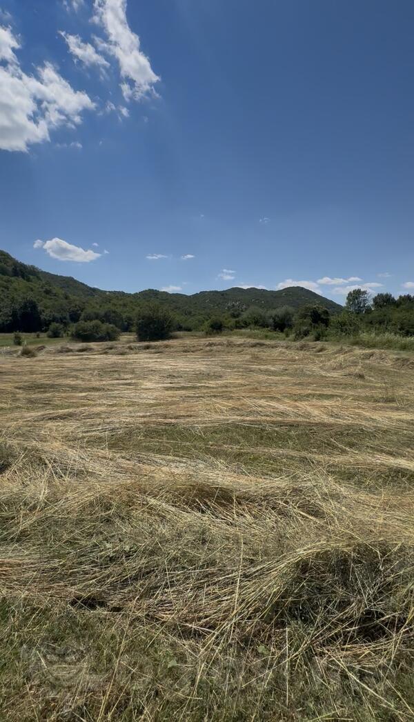 Poljoprivredno zemljište 12000m2 - Nikšić - > Okolina grada