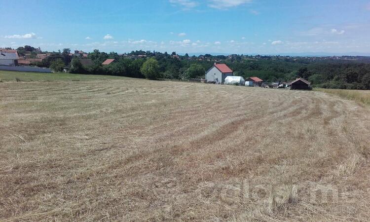 Poljoprivredno zemljište 5000m2 - Barajevo - Vranić