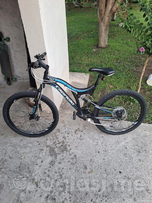 Capriolo - gtx