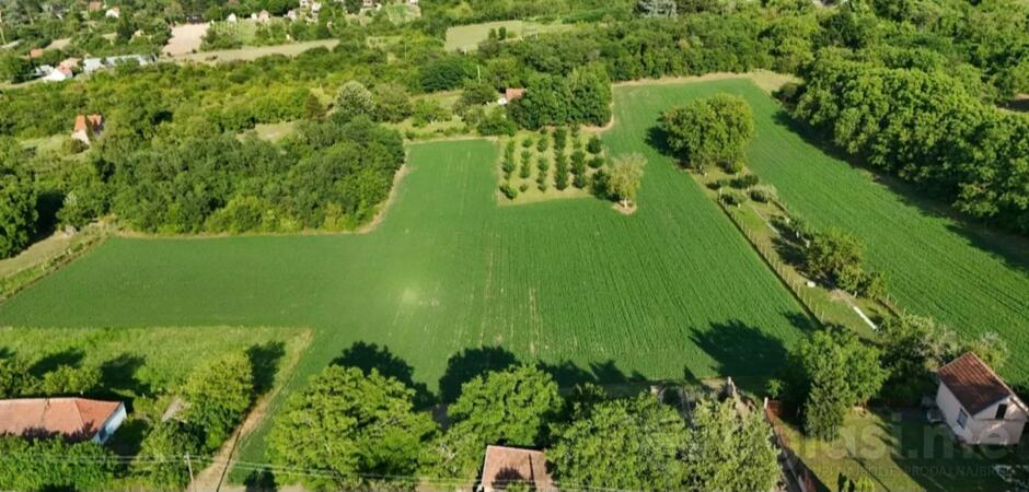 Građevinsko zemljište 7700m2 - Inđija - Krčedin