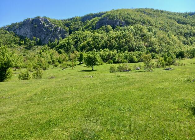 Poljoprivredno zemljište 100000m2 - Nikšić - Sjenokosi