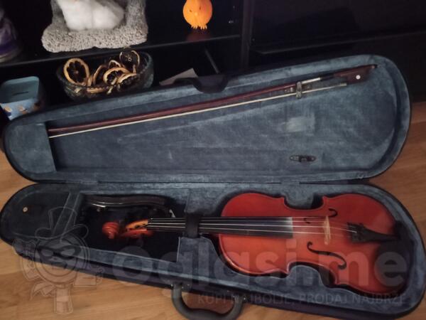 Violina
