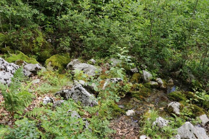 Poljoprivredno zemljište 45000m2 - Kolašin - Gornje Lipovo