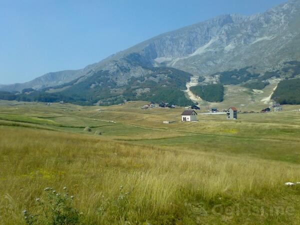 Građevinsko zemljište 5000m2 - Žabljak - Virak