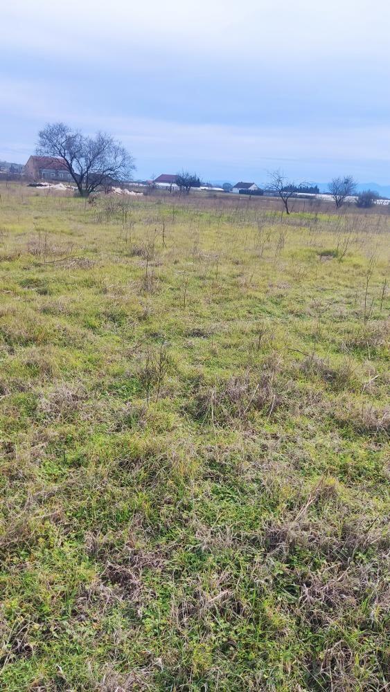 Poljoprivredno zemljište 1500m2 - Podgorica - > Okolina grada