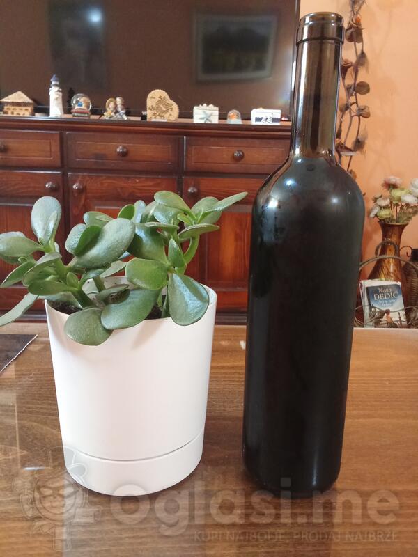 Vrhunsko domaće vino