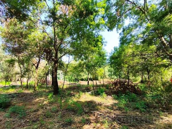 Poljoprivredno zemljište 1860m2 - Podgorica - Zeta