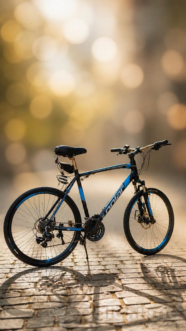 Polar - FORESTER PRO