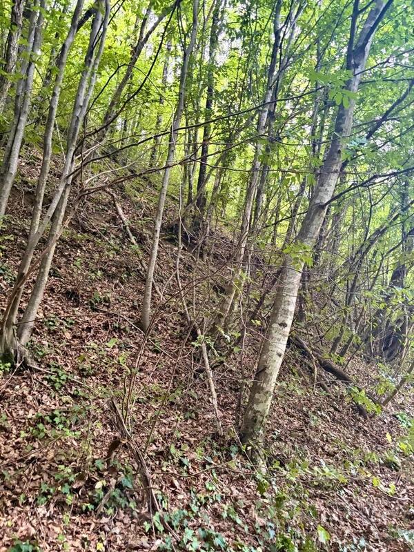 Građevinsko zemljište 5732m2 - Kolašin - Mioska