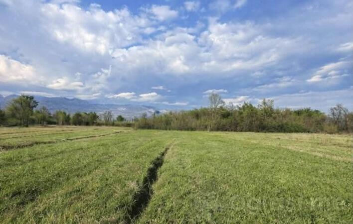 Građevinsko zemljište 5554m2 - Danilovgrad - Jastreb