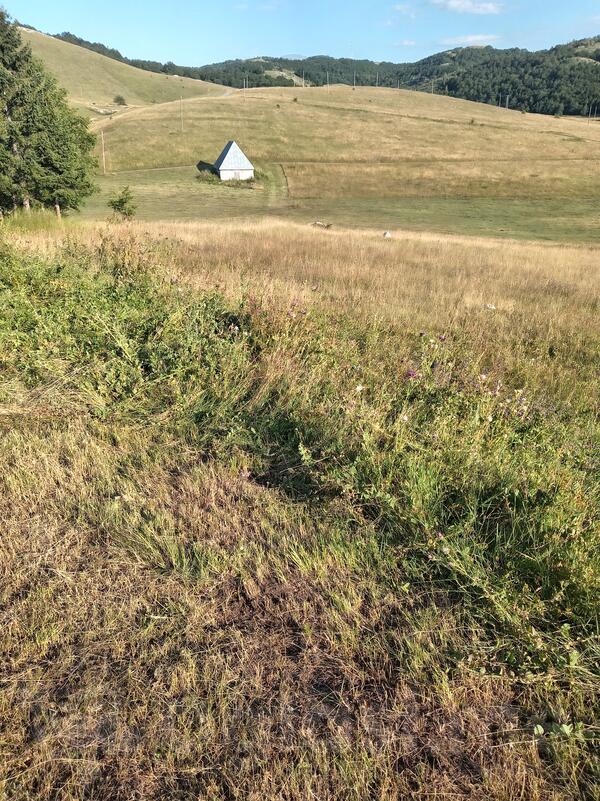 Poljoprivredno zemljište 4889m2 - Šavnik - Gornja Bukovica
