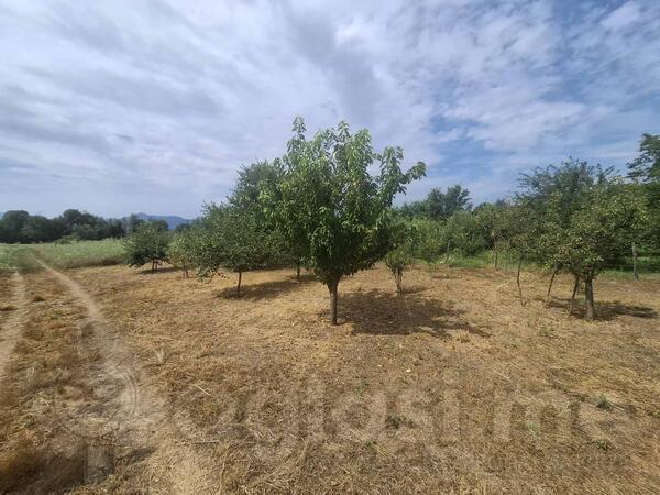 Poljoprivredno zemljište 4802m2 - Podgorica - Bijelo Polje