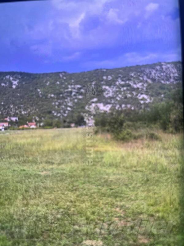 Poljoprivredno zemljište 63000m2 - Danilovgrad - Lalevići