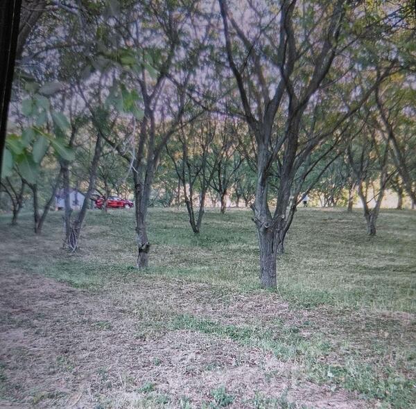 Građevinsko zemljište 50000m2 - Petrovaradin - Bukovac