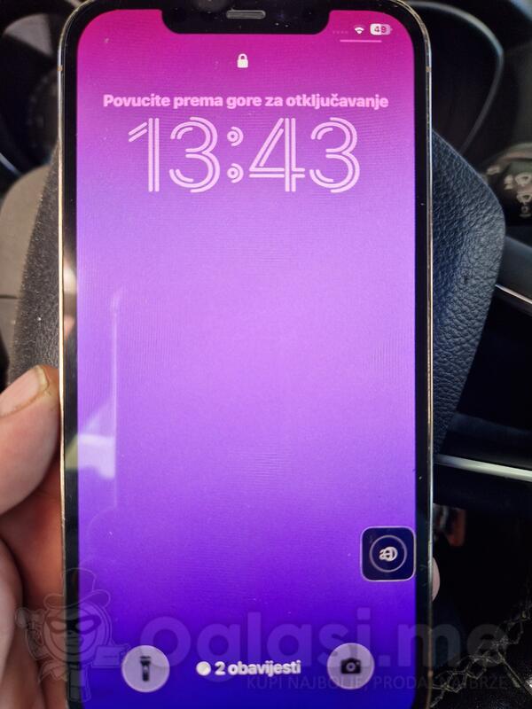 Apple - 12 pro max