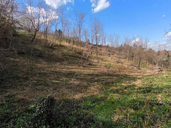 Građevinsko zemljište 1518m2 - Beočin - Beočin (uži dio)