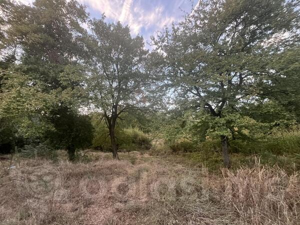 Poljoprivredno zemljište 2660m2 - Podgorica - Pričelje