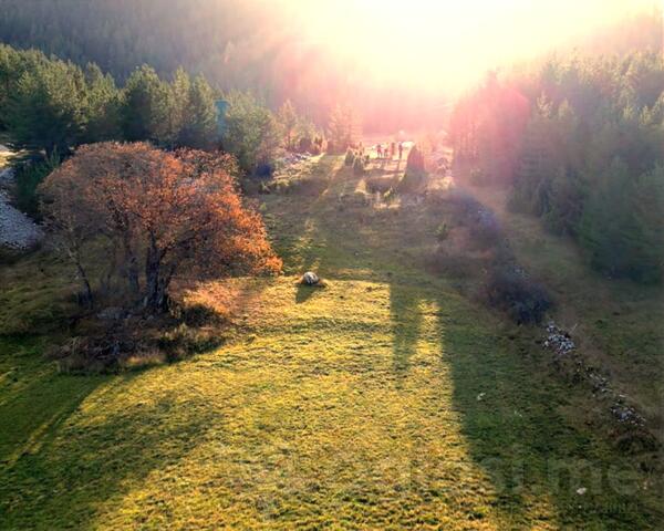 Građevinsko zemljište 1350m2 - Žabljak - Vrela